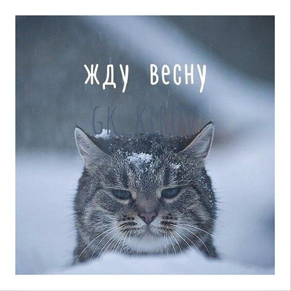 очень жду весну