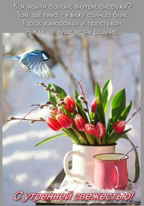 добрейшего весеннего утра