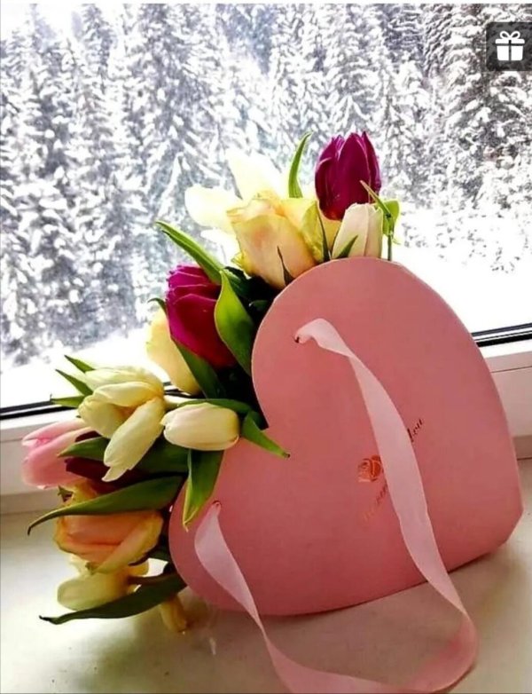 тюльпаны подарок