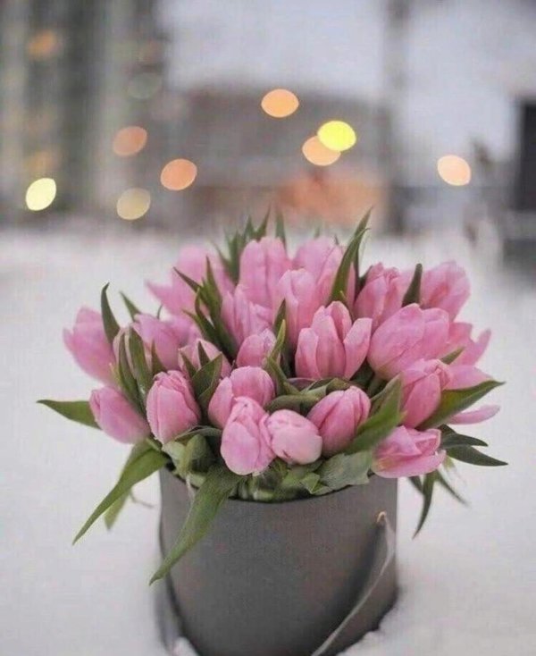 букет тюльпан