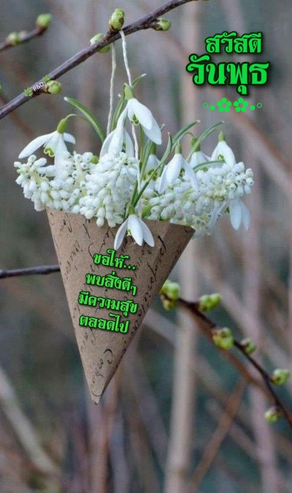 букет подснежники