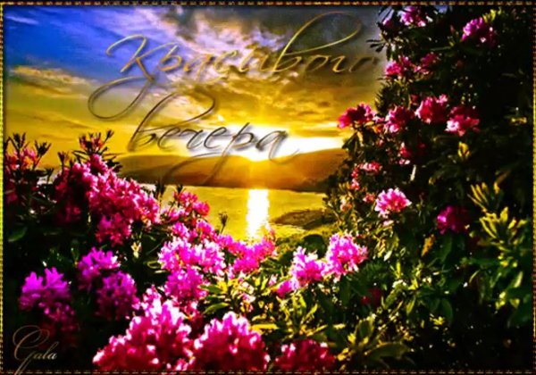 доброго вечера природа