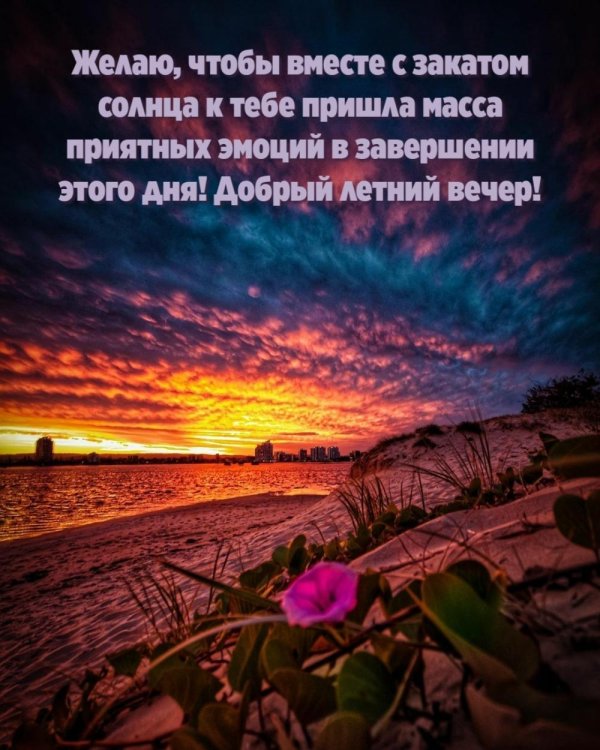 статусы про летний вечер