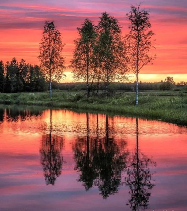 пейзаж закат