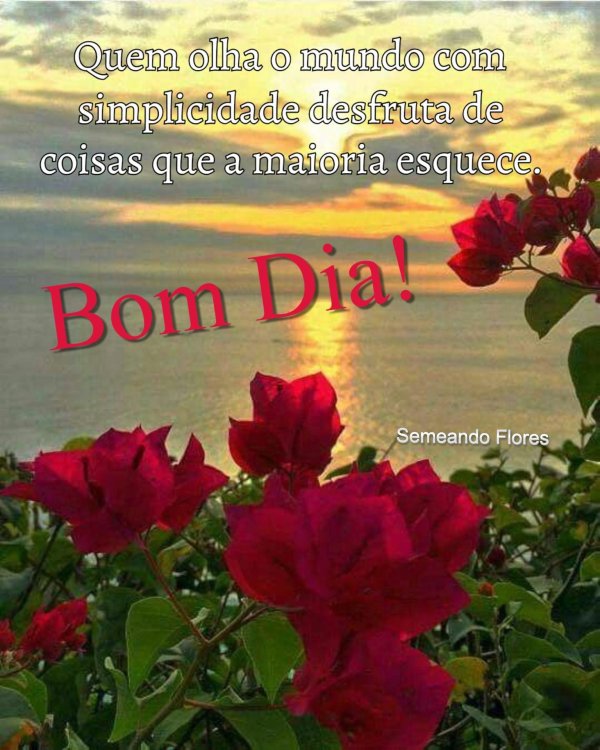 mensagens de bom dia