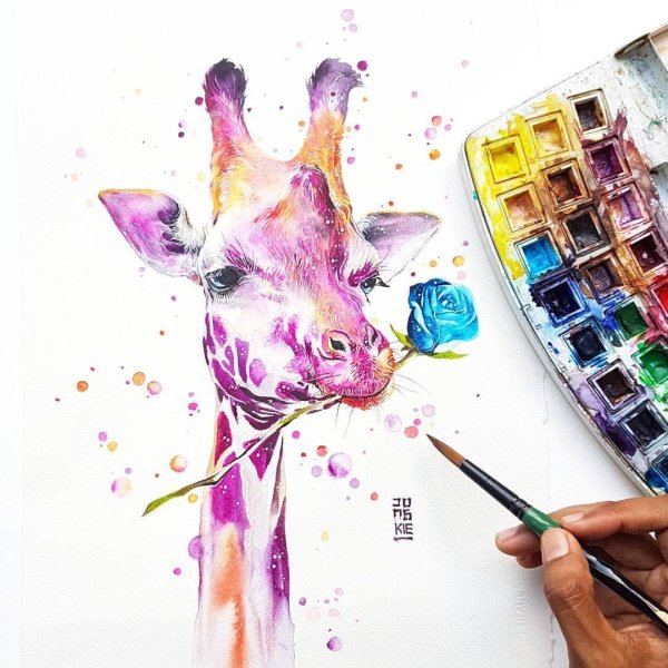разноцветный жираф