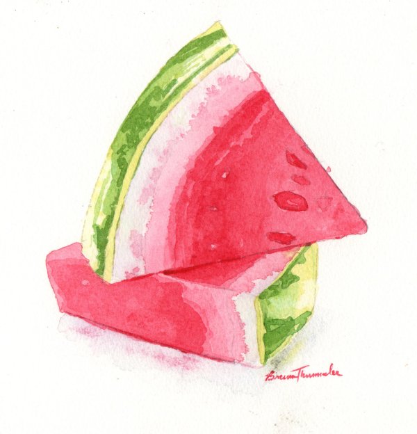 акварельная иллюстрация