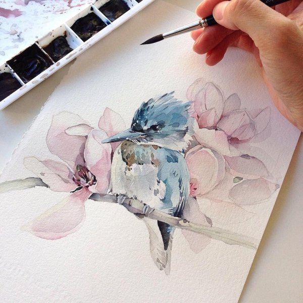 акварель наталия каданцева