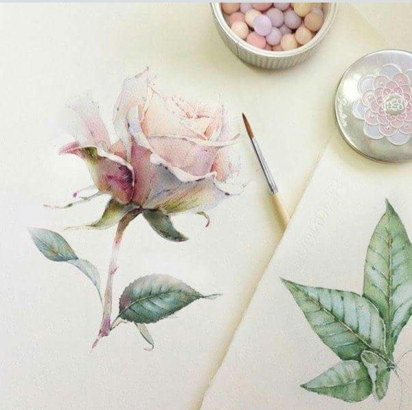 акварельная иллюстрация