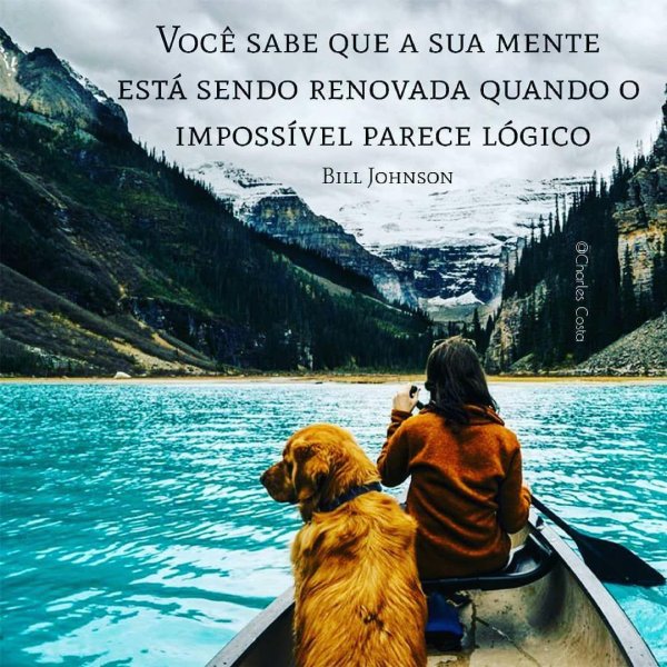 собака путешественник