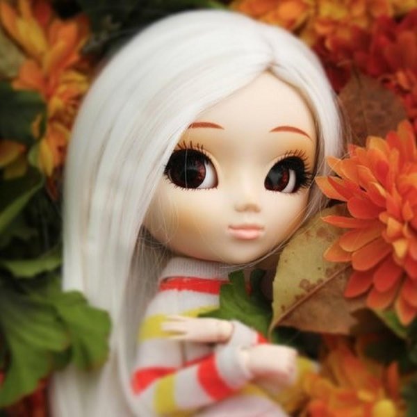 pullip куклы