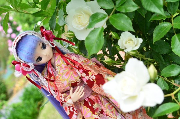 цветочные куколки