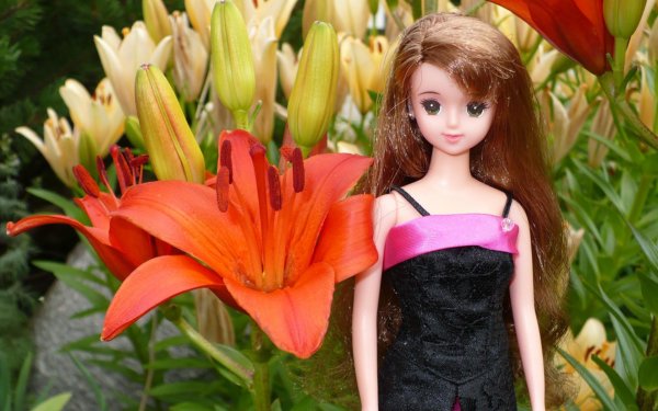 цветы куколки