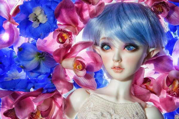 цветочные куколки