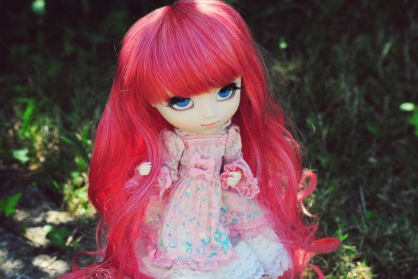 пуллип единорог