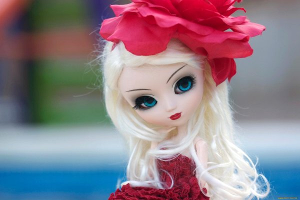 pullip куклы