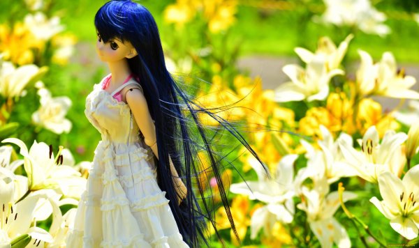 цветы куколки