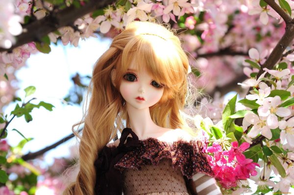 очень красивые куклы