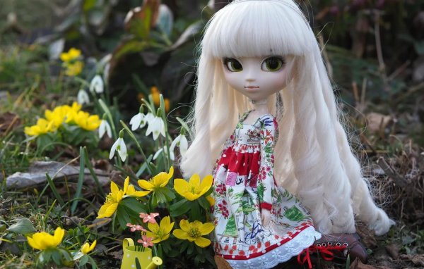 pullip куклы
