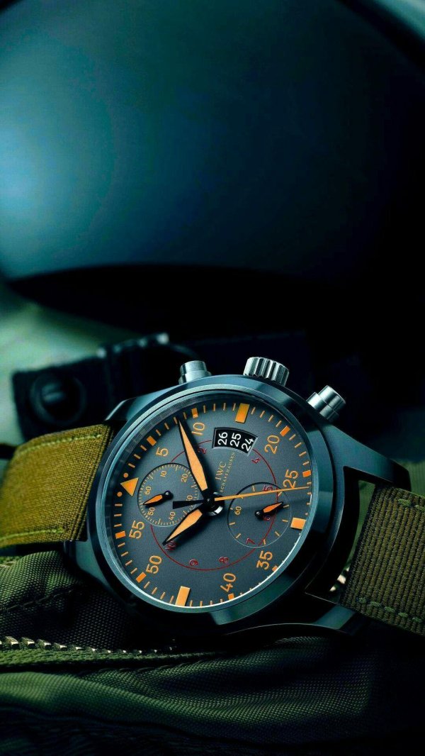 pilot watch