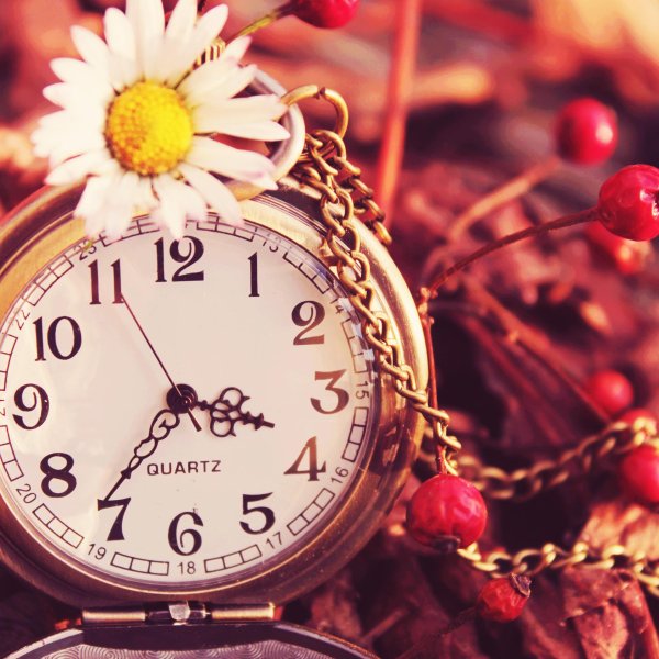 красивое время