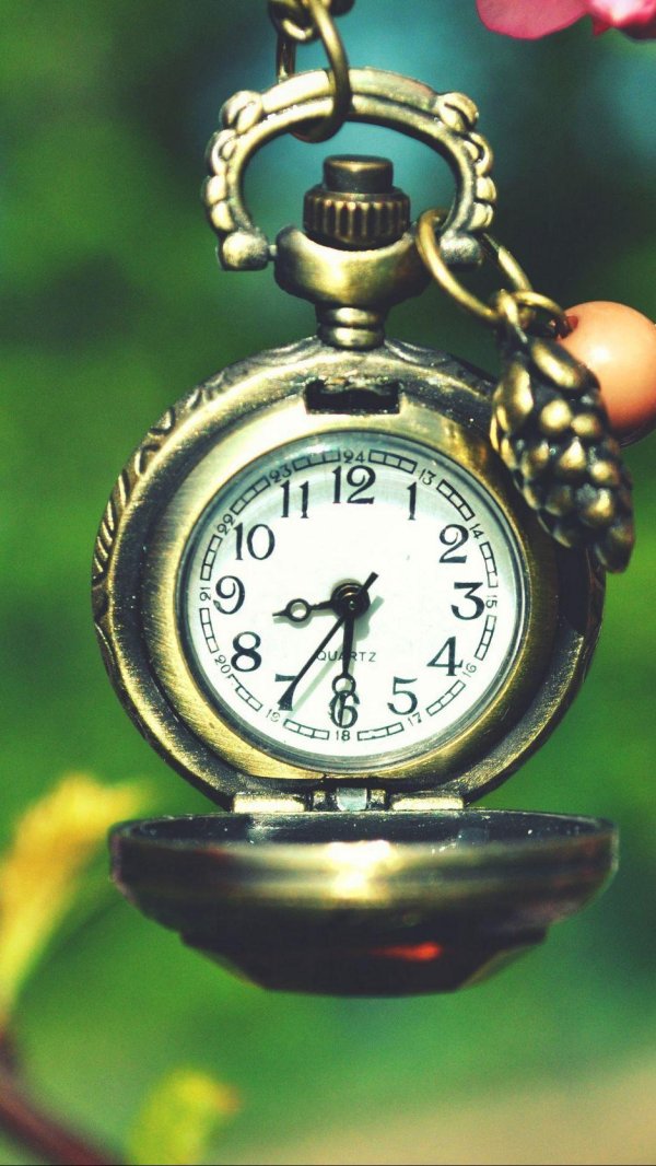 pocket watch