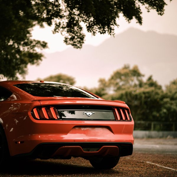 mustang ford