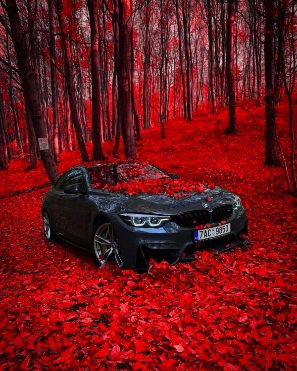 бмв красного цвета