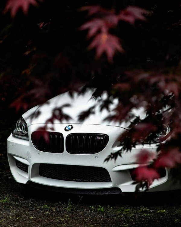 bmw m5 f10