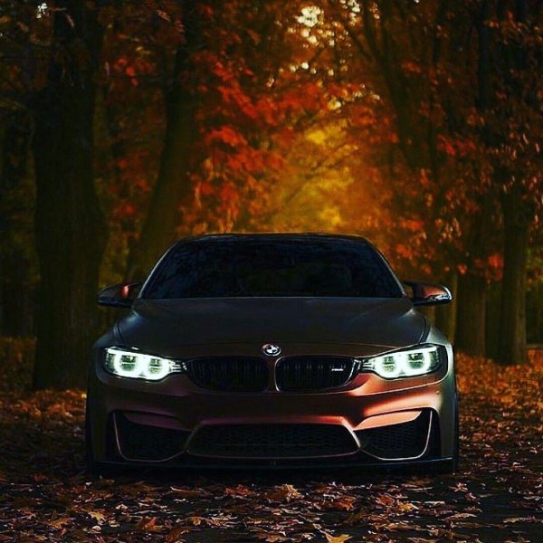 красивая бмв