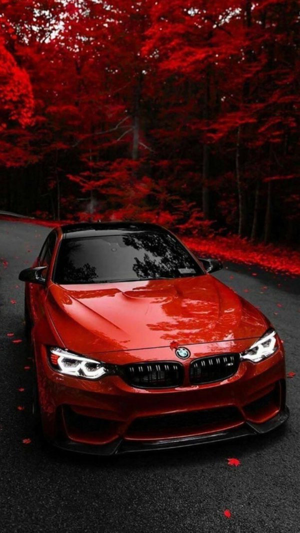 бмв красного цвета