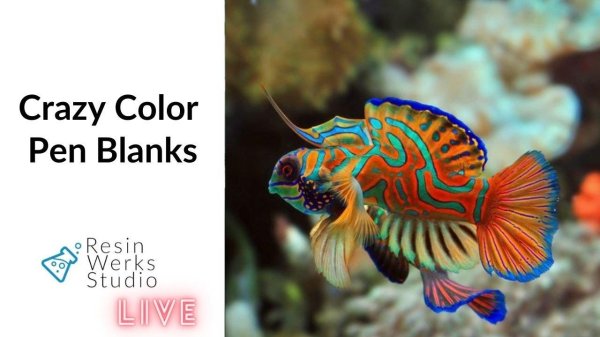 мандаринка китайский окунь