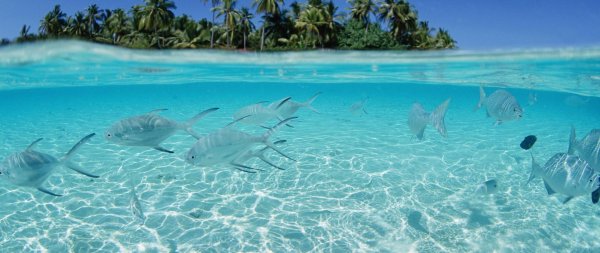 остров саона голубая лагуна