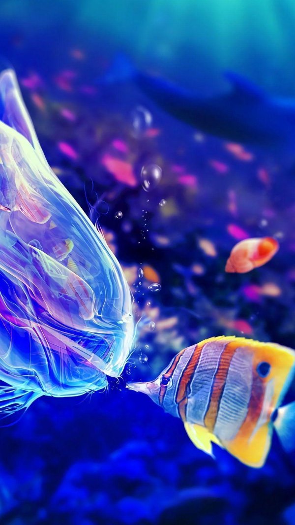 обои на телефон рыбки