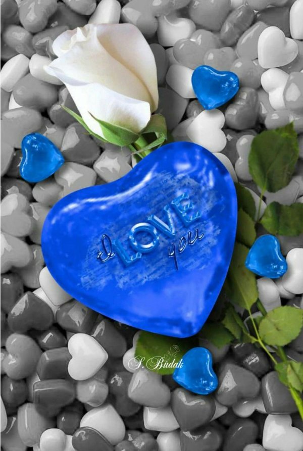 сердце синее