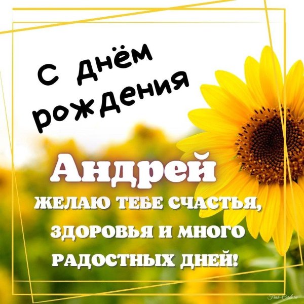 день рождения андрей поздравления