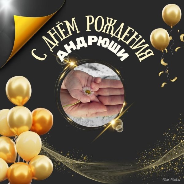 день рождения андрей поздравления