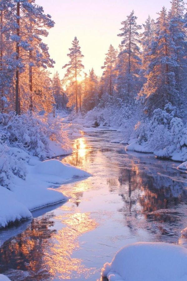 природа зимняя