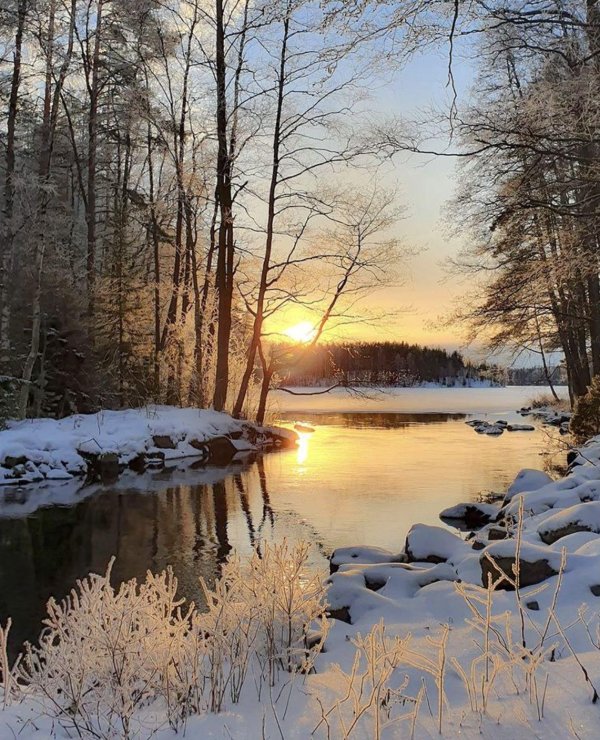 природа зимняя