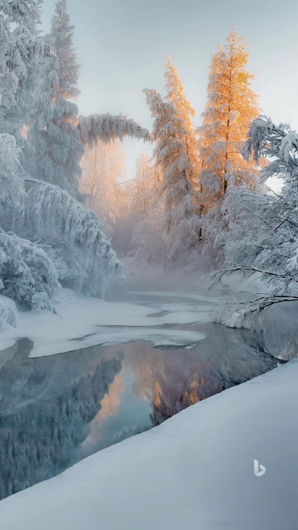 заснеженный пейзаж