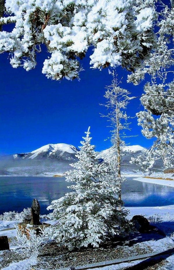 природа зимняя