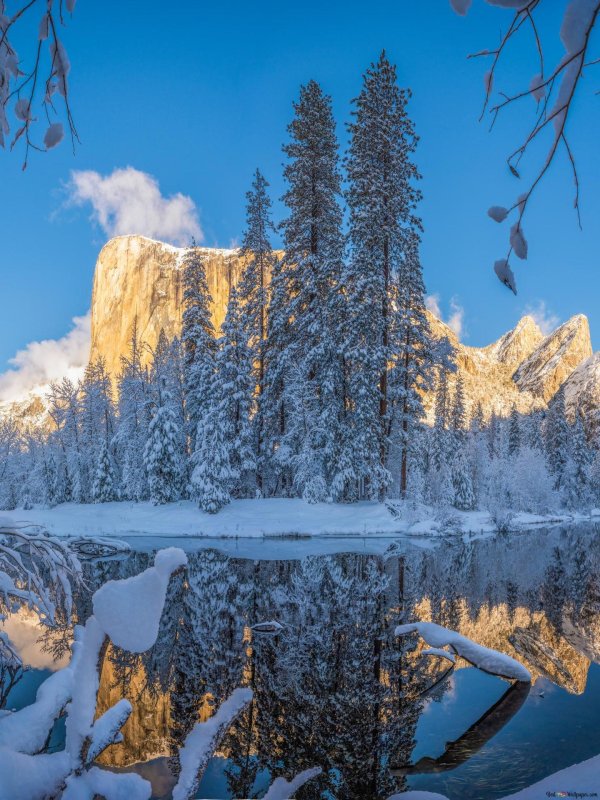 Природы пейзажи зимы
