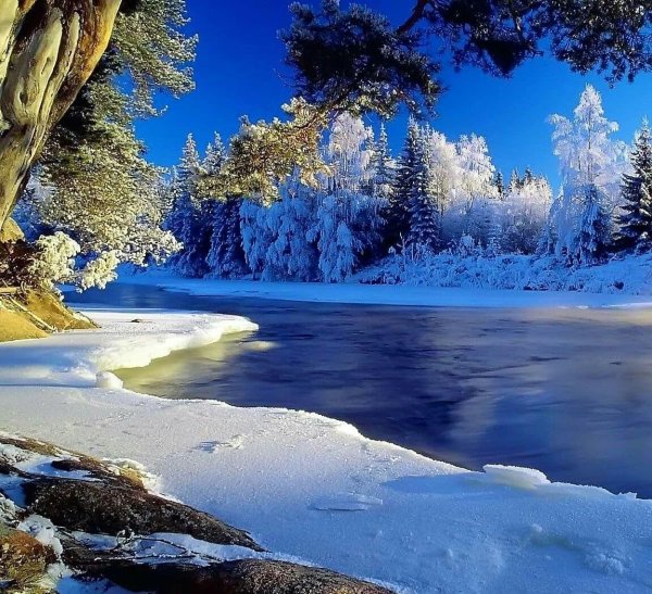 зимняя река