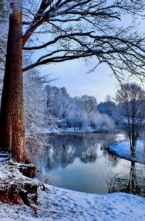 красота зимы