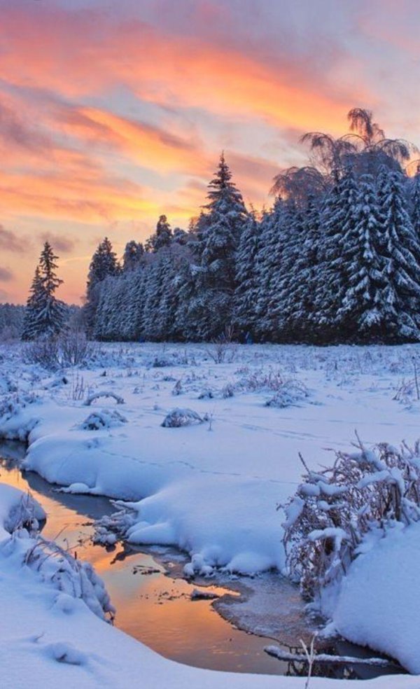 красивые пейзажи зимы