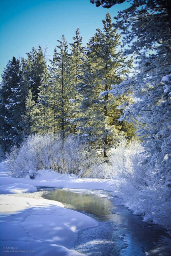 фотографии зимних пейзажей