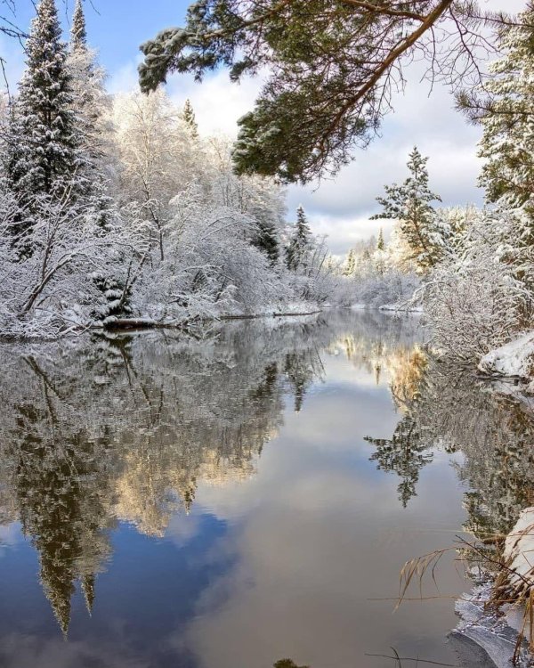 пейзажи природы зима