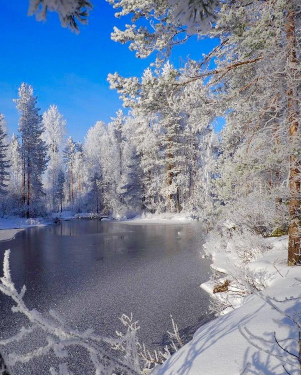 природа зимняя