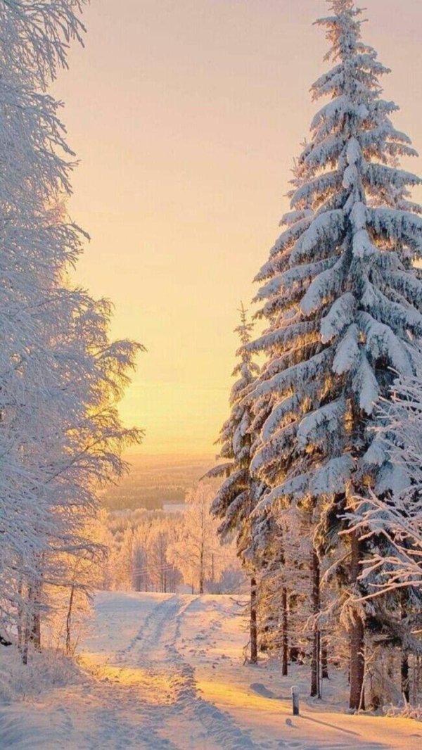 красивые пейзажи зимы