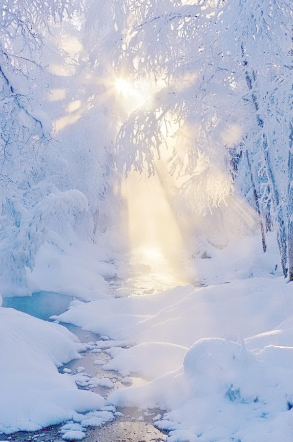 природа зимняя